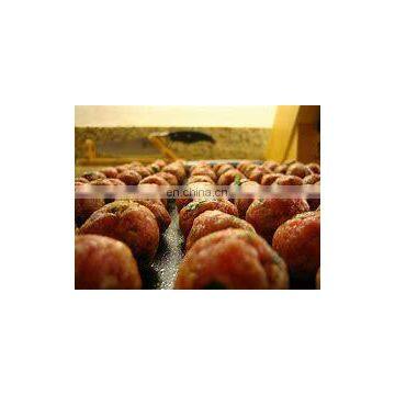 Automatic Meatball Making Machine /solid Ball Making Machine photo-4