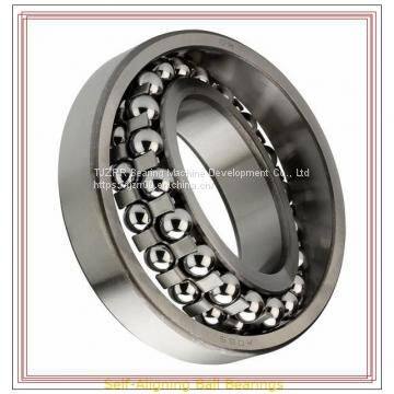 NSK 1202 TNG Self-Aligning Ball Bearings