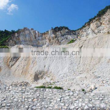 CACO3 Powder, Super Cheap From Vietnam for Painting, Plastic, Rubber, Paper._min 98% Caco3 photo-2