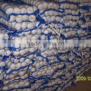 Prepacked China Garlic In China