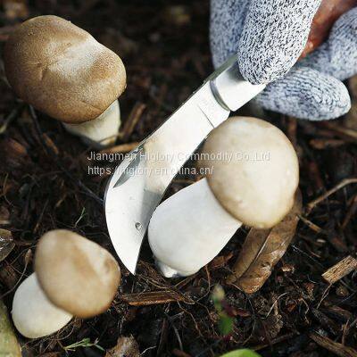 Grafter Foldable Garden Grafting Rosewood Handle Grafting Knife Cutter Knife Pruning