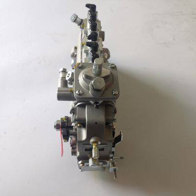 Factory Sell 6CT5.9 Engine Fuel Injection Pump Bos 0400866197