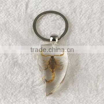 Promotional Real Black Scorpion Amber Wholesale Crystal Key Chain photo-4