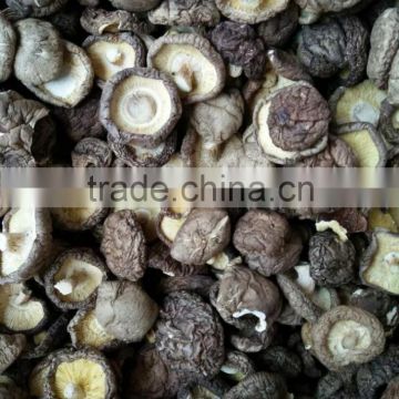 Dried shiitake