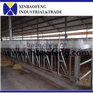 wholesale galvanized cattle headlock