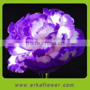 Trade assurance new model artificial fresh Eustoma flower with single head