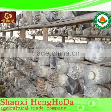 fashion china online shopping dried morel mushrooms for sale