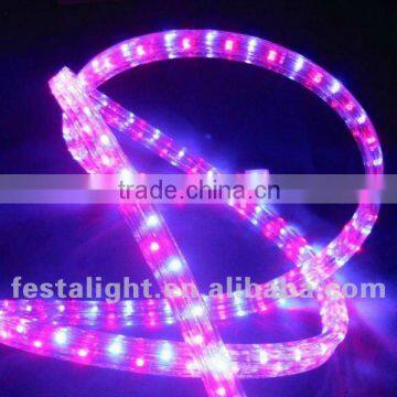 led rope light CE Quality Professional Factory in Zhejiang China