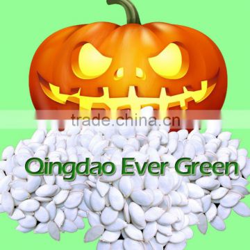 new crop chinese Snow White Pumpkin Seeds 13cm