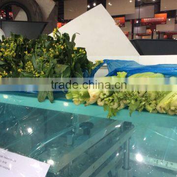 Full Servo Automatic Vegetable and Fruit Packaging Machine photo-2