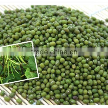 2011 top quality green mung beans