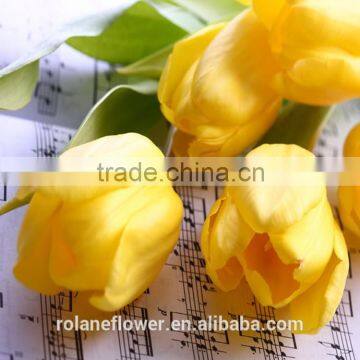 Holland Fresh Yellow Tulip Cut Flower From Kunming Yunnan photo-6