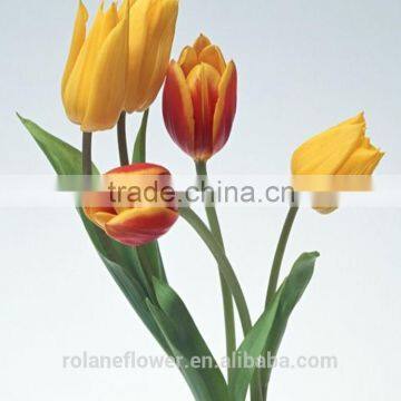 long stem beautiful fresh yellow tulip bulbs flower from kunming