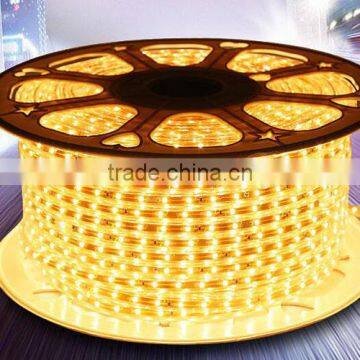 Chasing Led Rope Light High Quality High Brightness 5050/2835/5730 Led Strip Light 100m/50m/Reel Lightning With High Voltage Rgb