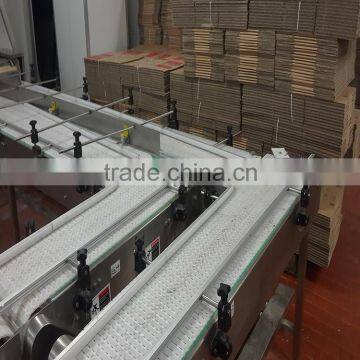 PP Grade for Food Belt Conveyor photo-5