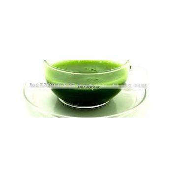 Natural Extract Green Tea Manufacturers