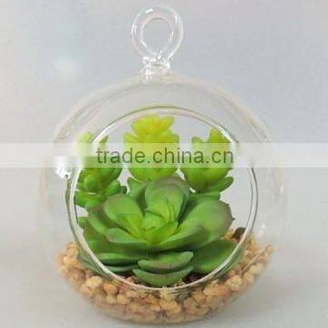 Made in China Wall Decoration Hanging Glass Ball Succulent