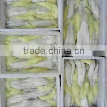 frozen argentinus illex squid roe