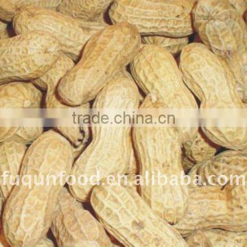 Roasted peanut in shells LUHUA