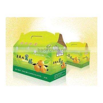 Take away fruit packaging box / Corrugated packaging box for fruit