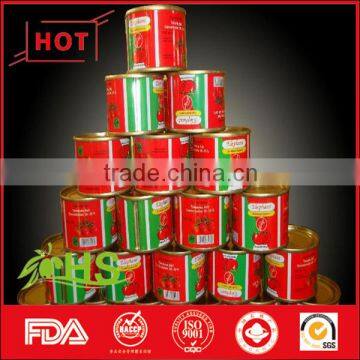 Suppliers of canned tomato paste