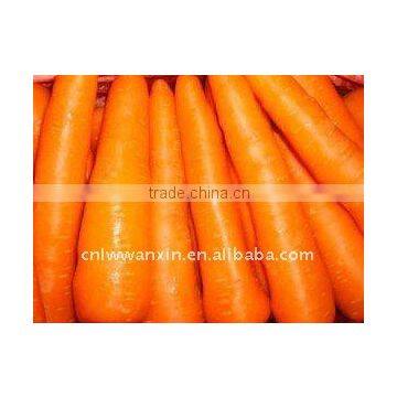 2011 fresh carrot market and price