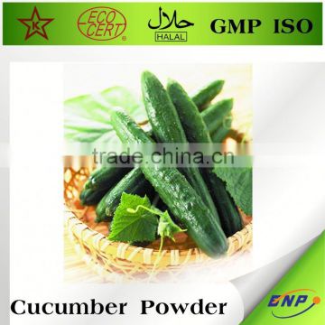 BNP Best Sell Pure Cucumber Extract Powder