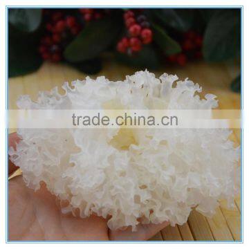 Silver Ear Mushroom Yin Er photo-2