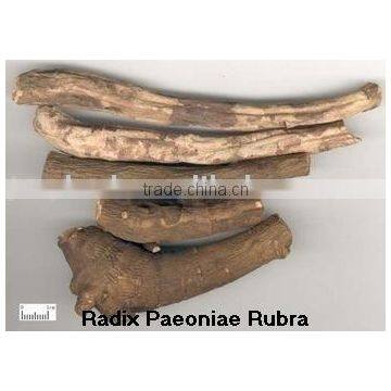 Radix Paeoniae Rubra extract powder