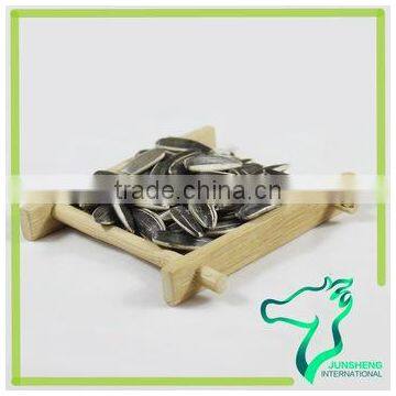 Roasted Iran Sunflower Seeds photo-6