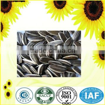 raw processing type sunflower seeds for hot sale