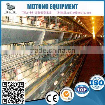 Quality automatic galvanized layer chicken cages for farm equipment