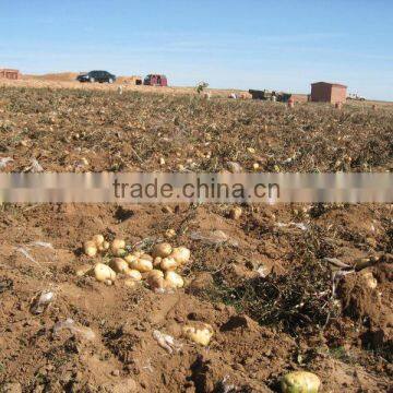 DAYU Potato Drip Tape CE&SGS Certificate photo-4