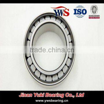 Double Row Full Complement Cylindrical Roller Bearing SL 185028 photo-4