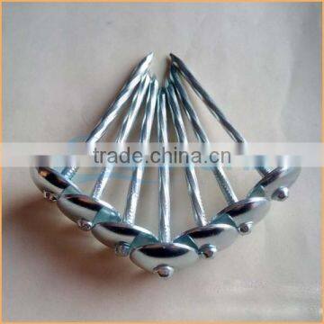 Top Quality Umbrella Head Twisted Roofing Nails Trusted Chuanghe Suppliers From Com photo-6