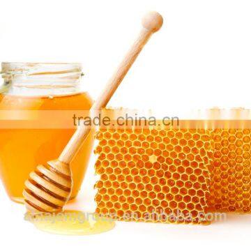 5-100ml Honey Packaging photo-4