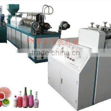 EPE Foam Net Extrusion Machine(FS-FPW75)