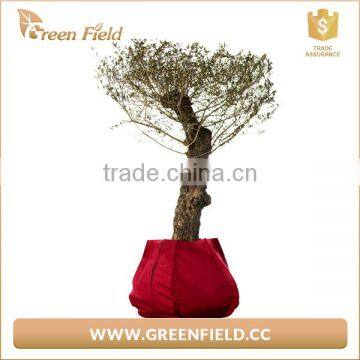Fabric Polyester Grow Bag, Black Fabric Polyester Grow Bags photo-5