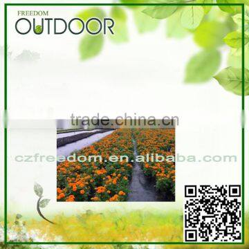 garden line weed control cover