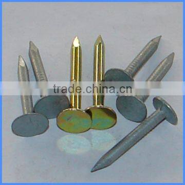 Galvanized Cupper Nails With Factory Price photo-6