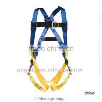 body harness with dorsal D-ring