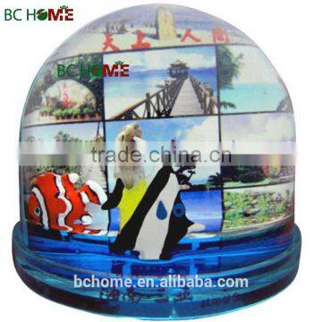 Family picture photo insert water globe