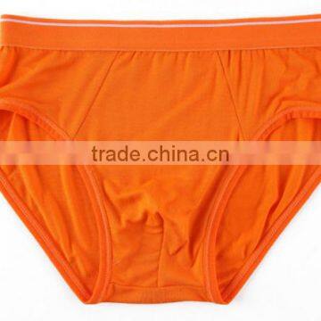 High Quality Comfortable Cheap Boys Sexy Underwear,hot Fashion Child Stretch Briefs photo-5