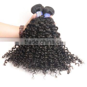 2016 New Products on China Market, Mongolian Virgin Hair, Mongolian Kinky Curly Hair photo-4