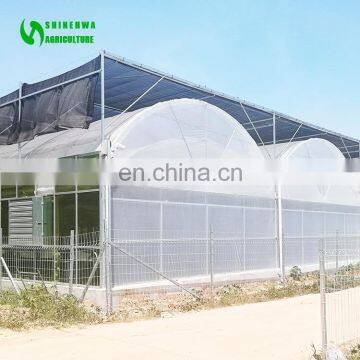 Classic Commercial Plastic Film Greenhouse/Garden Greenhouse for Sale photo-2