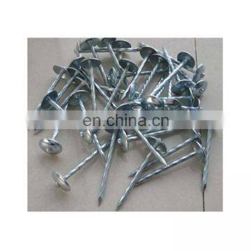 2-1/2"/2" Roofing Nail/umbrella head with plastic washer