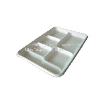 6 Compartment Tray