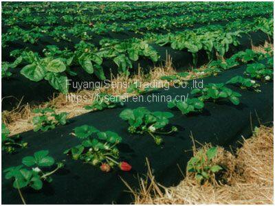 Agriculture Non Woven Fabric