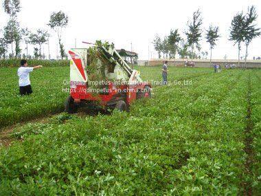 Groundnut Combine Harvester Self-propelled With 30hp Tractor photo-4