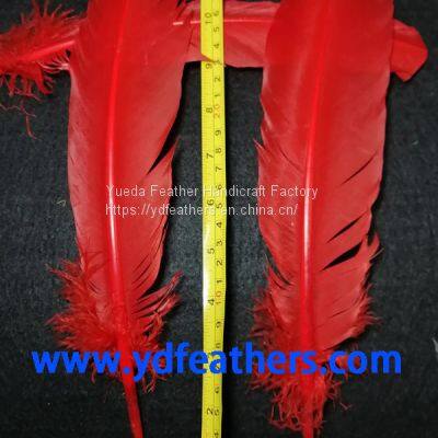 Red Turkey plume feather for Wholesale From China